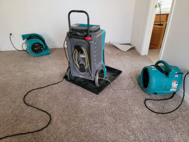  Spearman, TX Water damage restoration Pros