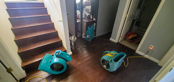 Best Mold removal after water damage  in Spearman, TX