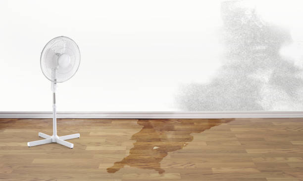 Best Emergency water damage restoration  in Spearman, TX