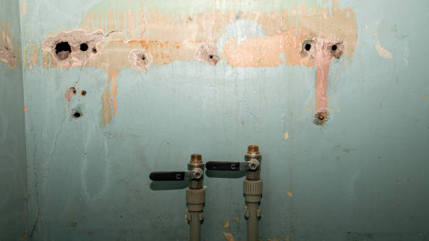 Best Basement water damage restoration  in Spearman, TX