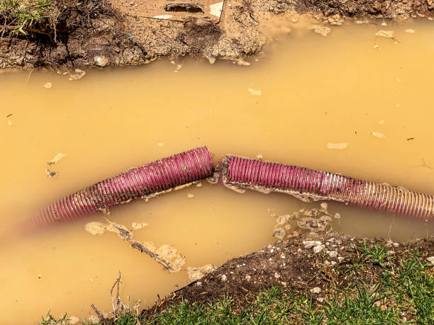 Professional Water damage restoration in Spearman, TX