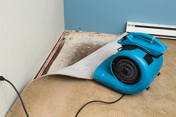 Best Local water damage restoration  in Spearman, TX
